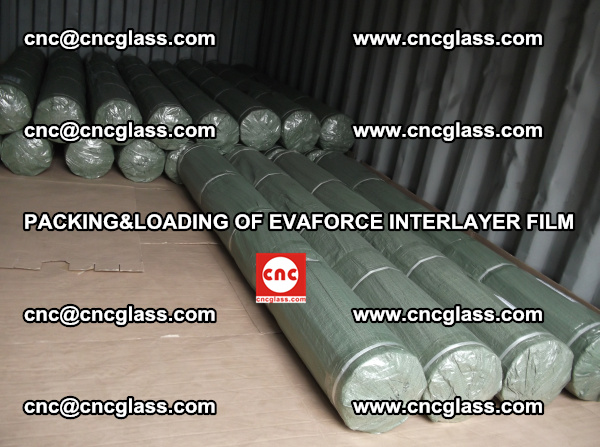 PACKING AND LOADING OF EVAFORCE INTERLAYER FILM (3)