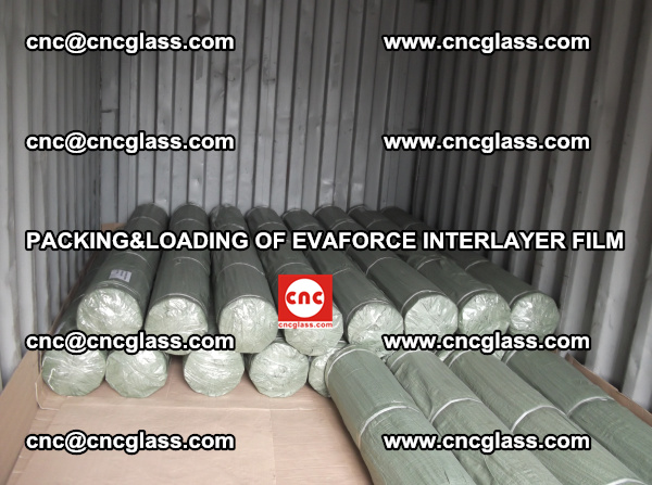 PACKING AND LOADING OF EVAFORCE INTERLAYER FILM (4)